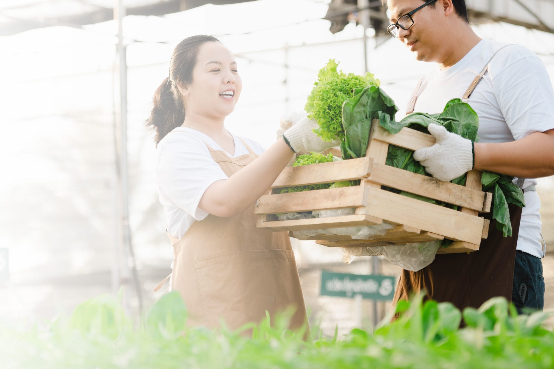 Optimize Your Business: A Comprehensive Guide on How to Easily Create WhatsApp Business for SMEs!