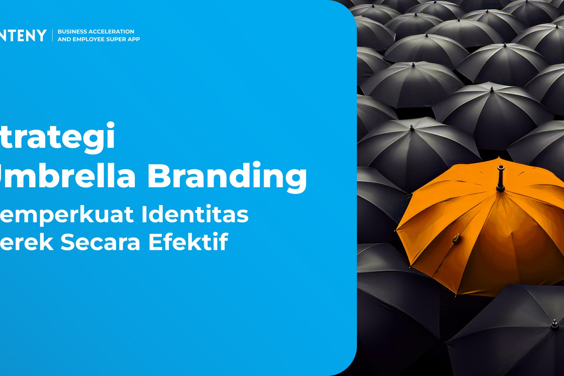 Strategi Umbrella Branding: Memperkuat Identitas Merek Secara Efektif