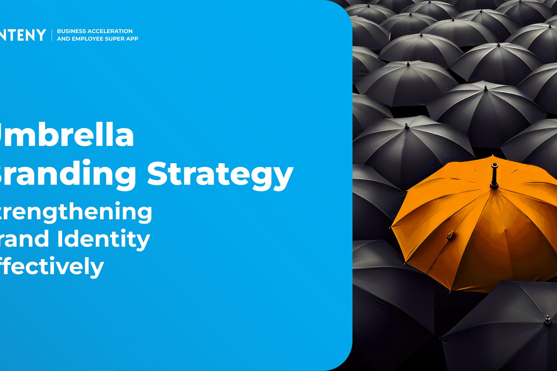 Umbrella Branding Strategy: Strengthening Brand Identity Effectively