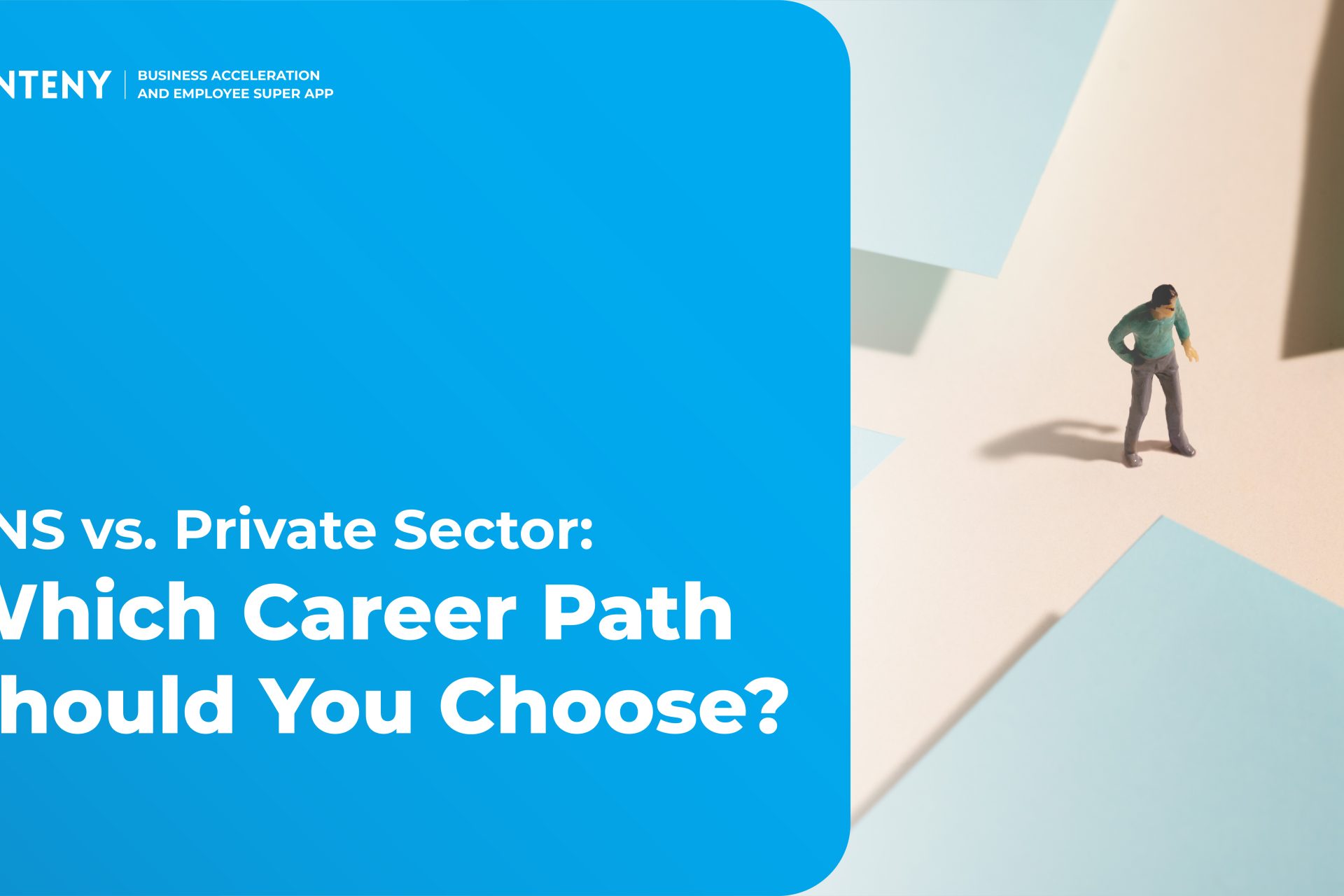 PNS vs. Private Sector: Which Career Path Should You Choose?